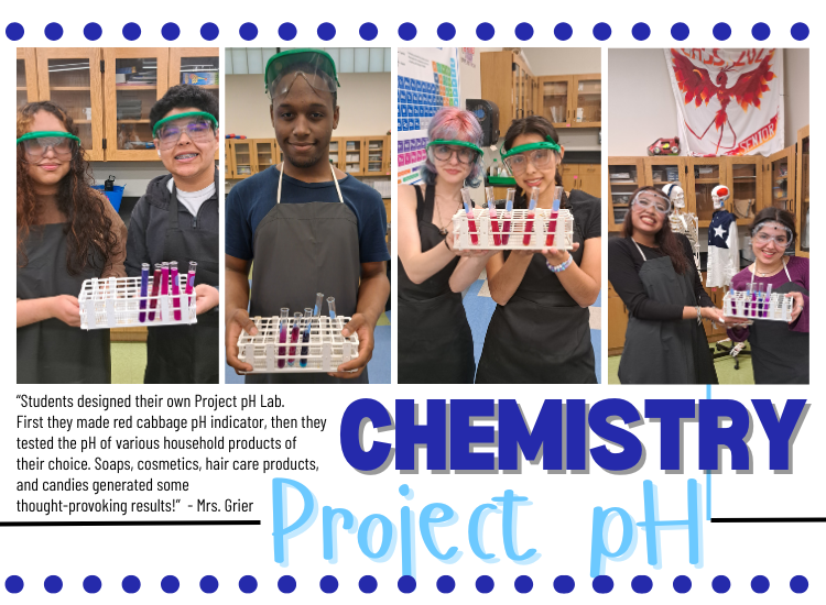  Chemistry Project  pH